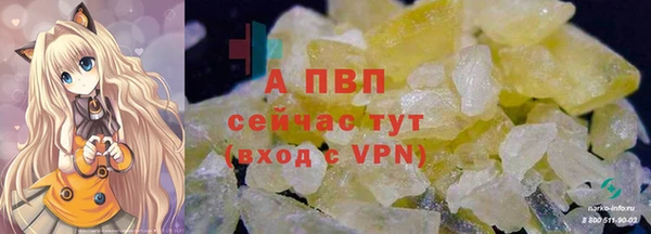прущие грибы Касимов
