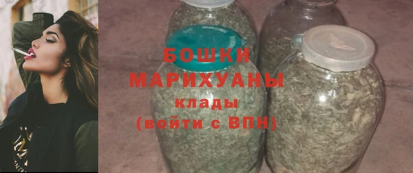 прущие грибы Касимов