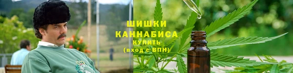 прущие грибы Касимов
