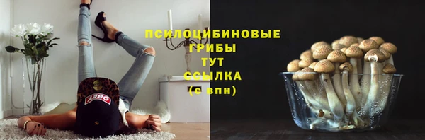 прущая мука Карпинск