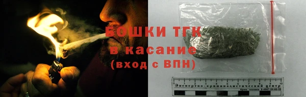 прущие грибы Касимов