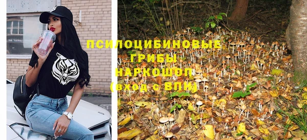 прущая мука Карпинск