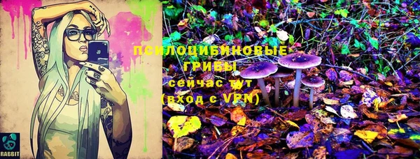 прущая мука Карпинск