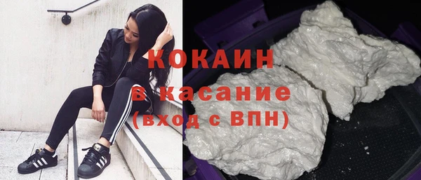 прущие грибы Касимов